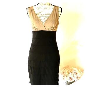 Enfocus Studio Sz 10 Black and Tan Dress